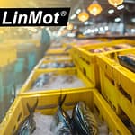 Higieniczność i precyzja produkcji ryb oraz mięsa drobiowego