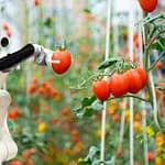 Prognoza ożywienia robotów współpracujących od 2025 roku, wraz ze zmianami na rynku po okresie spowolnienia. robot współpracujący