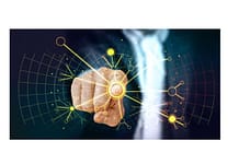 Polska regionalnym liderem w rankingu Oxford Insights Oxford Insights