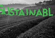 Schneider Electric przyspiesza działania na rzecz klimatu