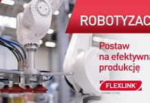 Wykorzystanie Robotyzacji w Systemach FlexLink – Innowacyjne Rozwiązania dla Przemysłu