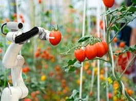 Prognoza ożywienia robotów współpracujących od 2025 roku, wraz ze zmianami na rynku po okresie spowolnienia. robot współpracujący