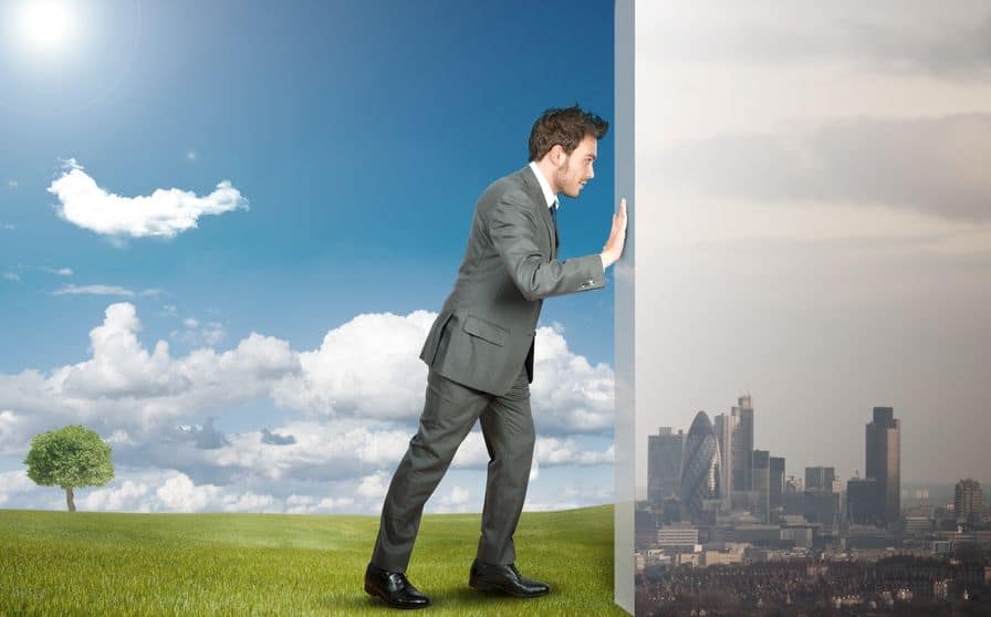 ekologiczne zarządzanie przyszłość ekologicznych